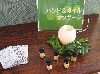 108_0804.JPG